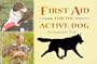 First Aid for the Active Dog