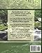 Bowed Psaltery: The String Instrument Anyone Can Play - Play Celtic, Folk or Hymn