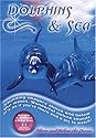 Dolphins and Sea