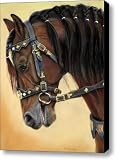 Horse portrait Canvas Print / Canvas Art - Artist Svetlana Ledneva-Schukina