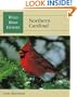 Wild Bird Guide: Northern Cardinal (Wild Bird Guides)