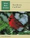Northern Cardinal (Wild Bird Guides) by Gary Ritchison