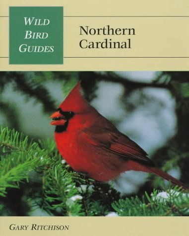wild bird guide northern cardinal wild bird guides