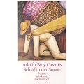Schlaf in der Sonne: Roman (suhrkamp taschenbuch)