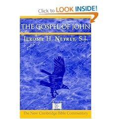 The Gospel of John (New Cambridge Bible Commentary)