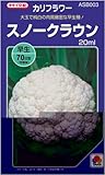 ₷lC!@Xm[NE(^LCz)@:20ml