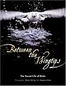 Between the Wingtips: The Secret Life of Birds