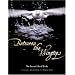 Between the Wingtips: The Secret Life of Birds