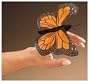 Folkmanis Mini Monarch Butterfly Finger Puppet