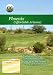 Amazon price tracker, Amazon price history charts, Good Time Golf Phoenix Affordable Arizona