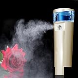 Mermaid 2 IN 1 Facial Skincare Sprayer and USB Rechargeable Mini Handheld Atomizer Face Moisturizing Machine Portable Spray Mist Facing Humectant Steamer Humidfier-Best Dry Oil Skin Treatment (GOLD)