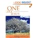 One Like Jesus: Conversations on the Single Life