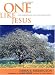 One Like Jesus: Conversations on the Single Life
