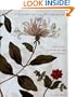 Clutius Botanical Watercolors