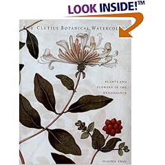 Clutius Botanical Watercolors