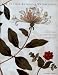 Clutius Botanical Watercolors