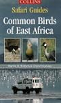 Common Birds of East Africa