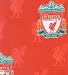 Kitchen & Housewares : Liverpool FC Curtains 66" x 54"