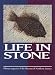 Life in Stone: Fossils of the Southwest