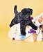 Black Labrador Retriever Dog Plush Stuffed Toy