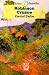 Books : Robinson Crusoe (Coleccion Clasicos Juveniles)