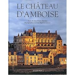 Ch�teau d'Amboise