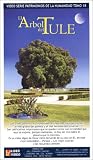 Review   / EL TULE, the oldest and biggest tree of the universe