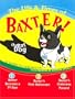 The Life & Times Of Baxter The Bat Dog