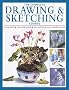 The Complete Drawing and Sketching Course