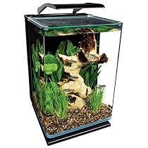 Marineland ML90609 Portrait Aquarium Kit, 5-Gallon
