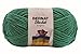 Bernat Blanket Brights Big Ball Yarn, 10.5 Ounce, Go Green