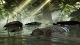 Dead Island Riptide Special Edition