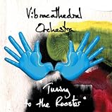 Vibracathedral Orchestra｜Tuning to the Rooster