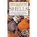 All You Want to Know About Shells