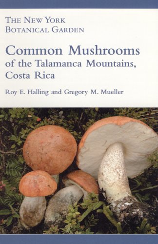 Mushroom