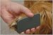 Kitchen & Housewares : Sam Splint - Paw Splint - 2 in. x 4 1/4 in.