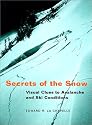 Secrets of the Snow: Visual Clues to Avalanche and Ski Conditions