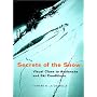 Secrets of the Snow: Visual Clues to Avalanche and Ski Conditions