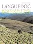 Languedoc-Roussillon: The Wines & Winemakers