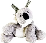 �t���b�v�t���b�v �R�A��