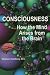 Book Consciousness: How the Mind Arises from the Brain