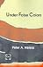 Book Under False Colors