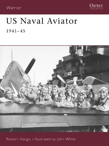 US Naval Aviator: 1941?45 (Warrior)