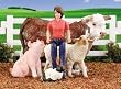 Breyer Stablemates State Fair Play Set