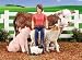 BREYER HORSES STABLEMATES STATE FAIR PLAY SET