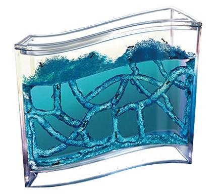 Childrens Toyshop  Toys : Natural History Museum - Antquarium
