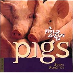 A Field Guide to Pigs