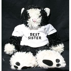 Plush Cat (Catnap) toy with Best sister