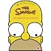 The Simpsons- Season 6 (Limited Edition Homer Boxset)