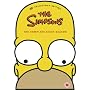 The Simpsons- Season 6 (Limited Edition Homer Boxset)